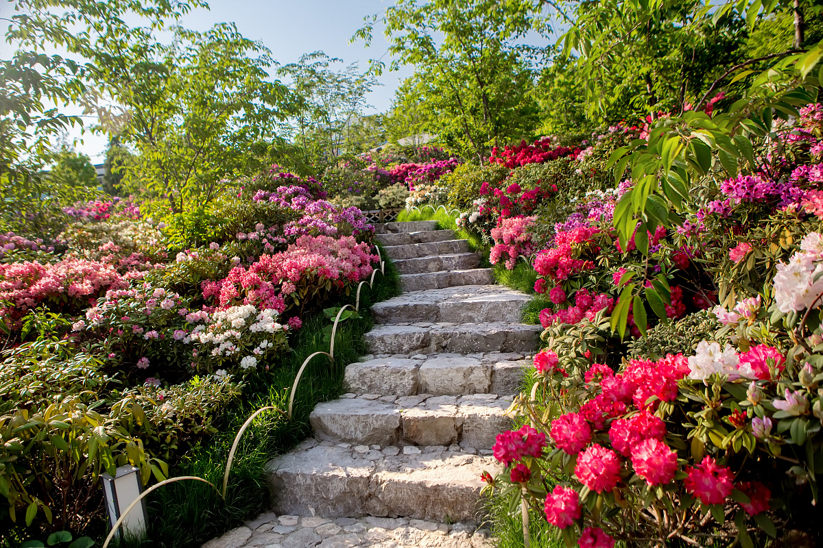 Индивидуальная экскурсия