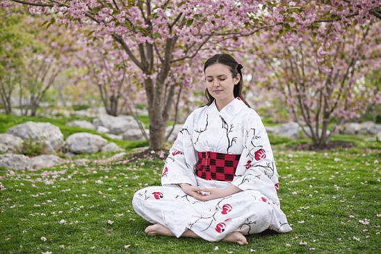 Медитация под цветущей сакурой